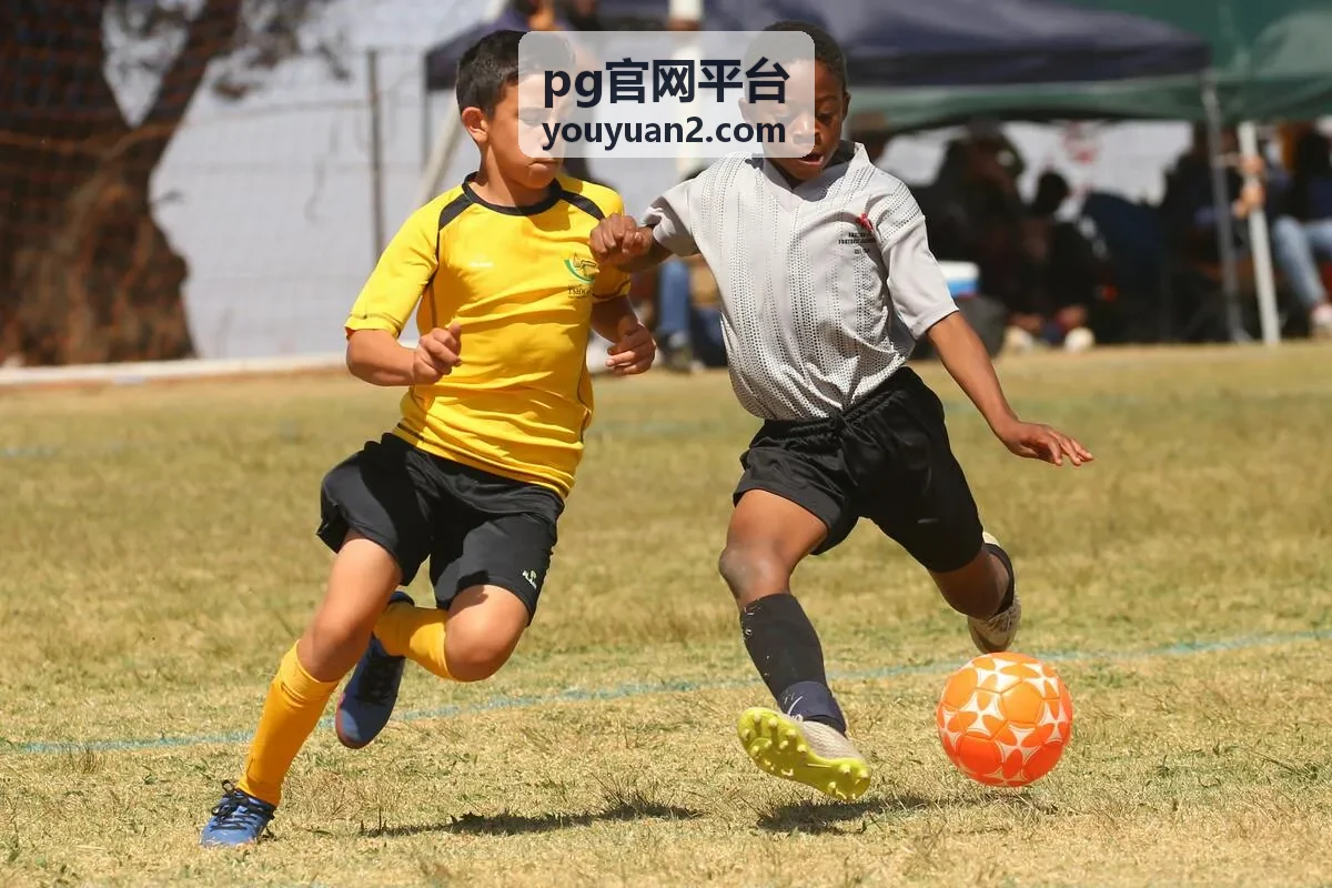 pg官网平台 玩法机制解析栏目封面
