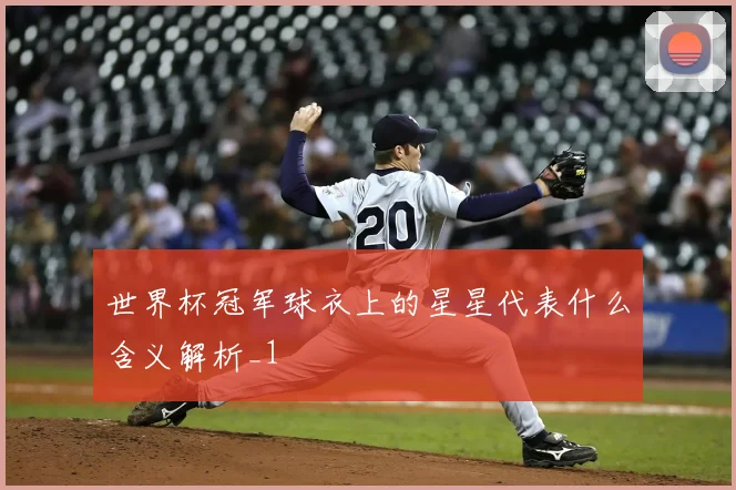 世界杯冠军球衣上的星星代表什么含义解析_1