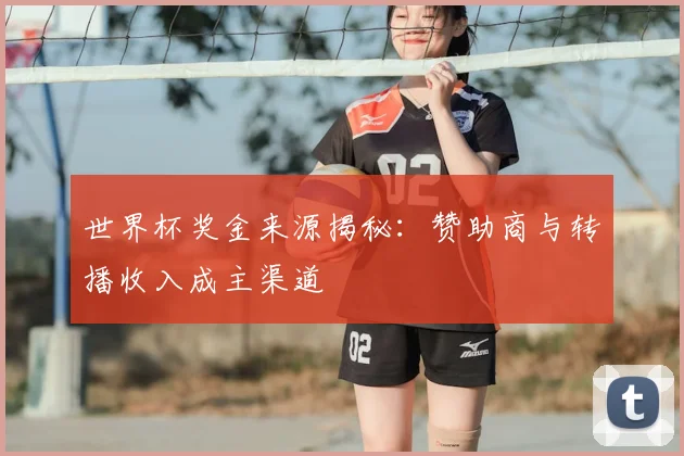 世界杯奖金来源揭秘:赞助商与转播收入成主渠道