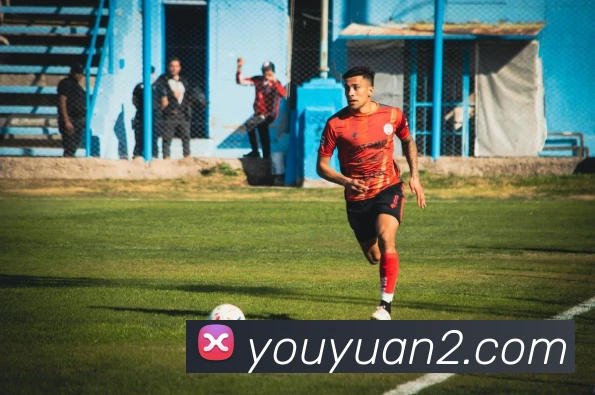 世界杯开户平台平台生态图